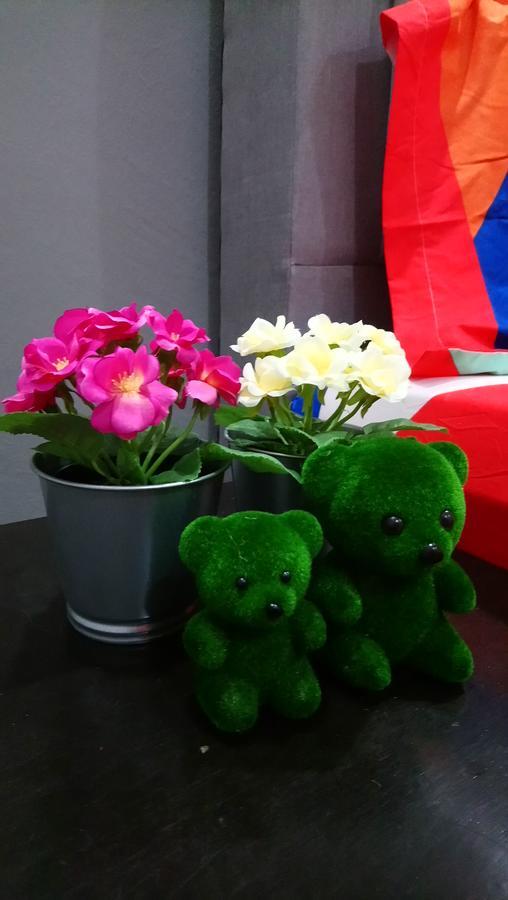 Jb Homestay Bukit Indah Wifi Ciq Mall Legoland Free Parking Johor Bahru Buitenkant foto