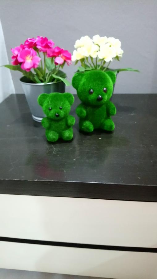 Jb Homestay Bukit Indah Wifi Ciq Mall Legoland Free Parking Johor Bahru Buitenkant foto