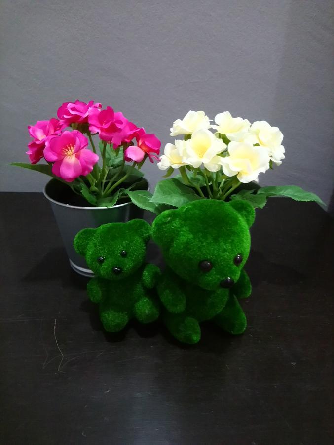 Jb Homestay Bukit Indah Wifi Ciq Mall Legoland Free Parking Johor Bahru Buitenkant foto